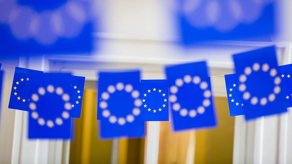 Kuvassa pieniä EU-lippuja